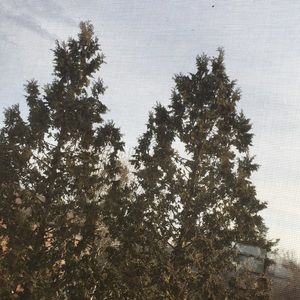 Meet your Posher, Adrian